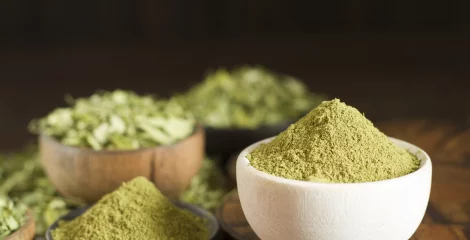 Moringa-Pulver in mehr als einer Schale