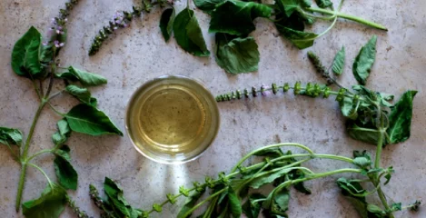 Tulsi Tee & Pulver – harmonisierende Kräuter für Körper und Geist