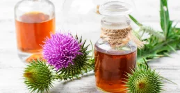 Mariendistelöl – Der beste Freund für Leber und Haut