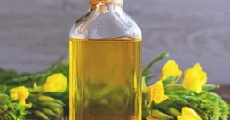 Die heilende Kraft des Nachtkerzenöls