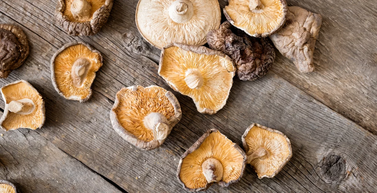 Shiitake Pilze – Natürlich stark & voller Gesundheitskraft