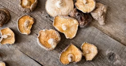 Shiitake Pilze – Natürlich stark & voller Gesundheitskraft