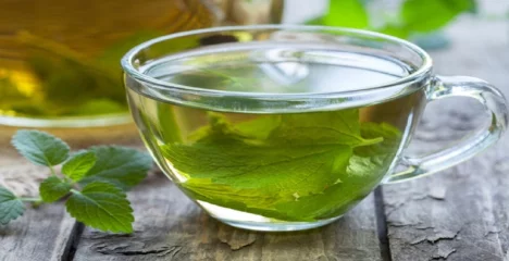Oregano Tee in einem durchsichtigen Becher