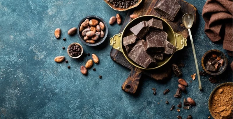 dunkle Schokolade in allen Formen: Pulver, Bohnen, Schokolade...