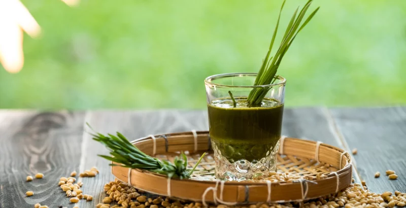 Weizengras im Glas auf einem Tablett