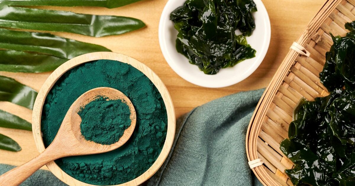 Spirulina-Algen und Pulver in einer Schüssel