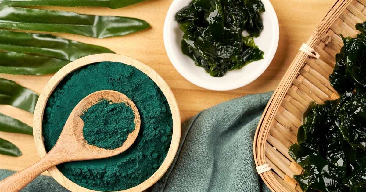 Spirulina-Algen und Pulver in einer Schüssel