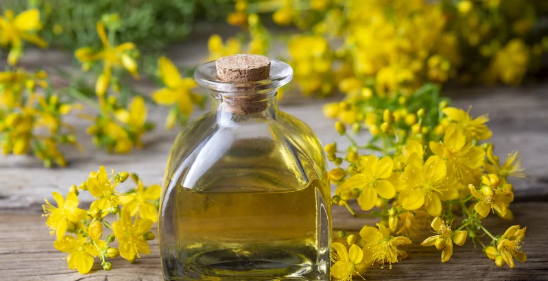 Johanniskrautöl in einer Glasflasche auf einem Tisch in der Natur
