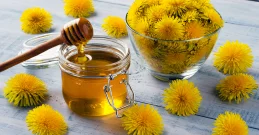 Löwenzahnhonig für ein starkes Immunsystem – Wirkung, Anwendung & Rezept