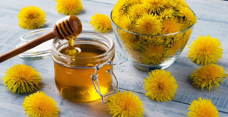 Löwenzahnhonig & Löwenzahn