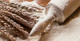 Vollkornmehl aus dem ganzen Korn – für Brot, Gebäck & mehr!