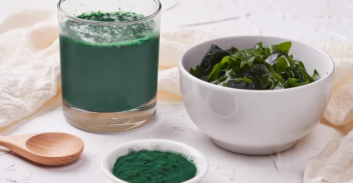 Kelp-Alge in einem Glas
