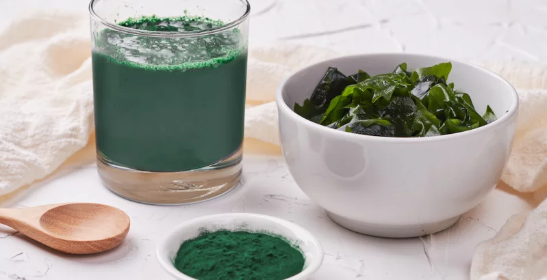 Kelp-Alge in einem Glas