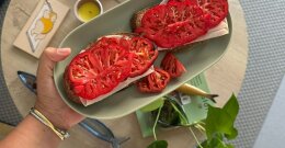 Frische Tomaten auf einem Sandwich