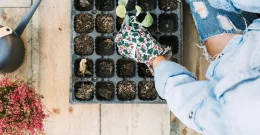 Ideen für einen Mini-Garten auf dem Balkon: Kräuter, Obst und Gemüse für die Pflanzzeit im März!